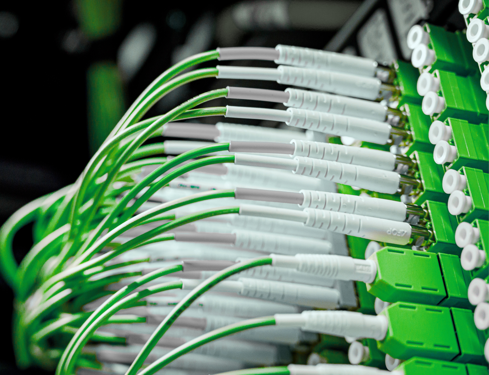 DBN Header Wartungen mobile